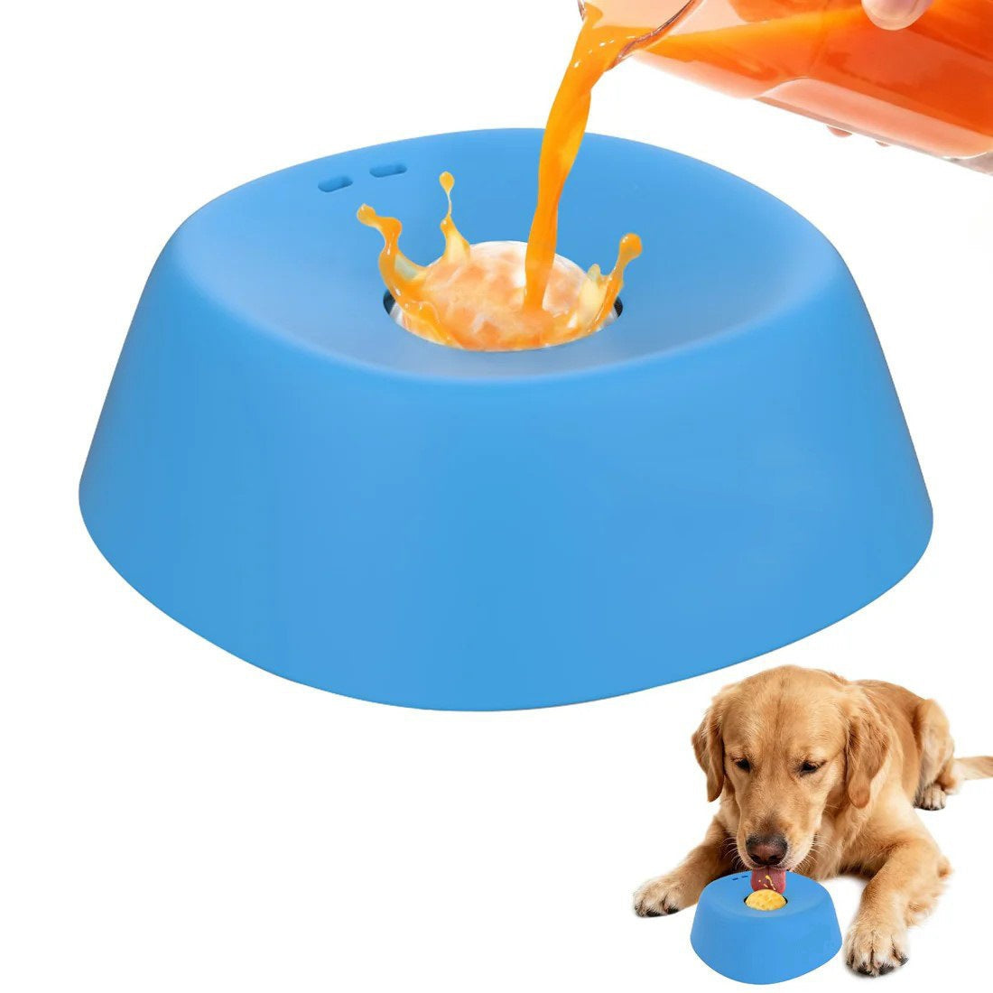 Pet Feeder