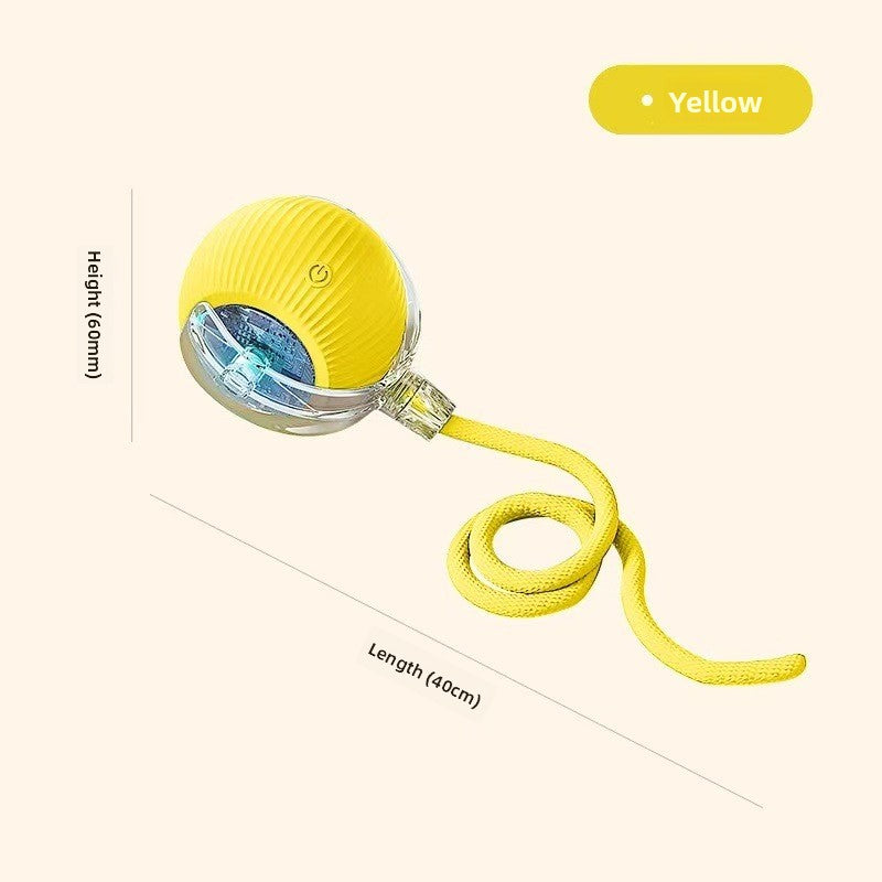 Automatic Dog Walking Ball