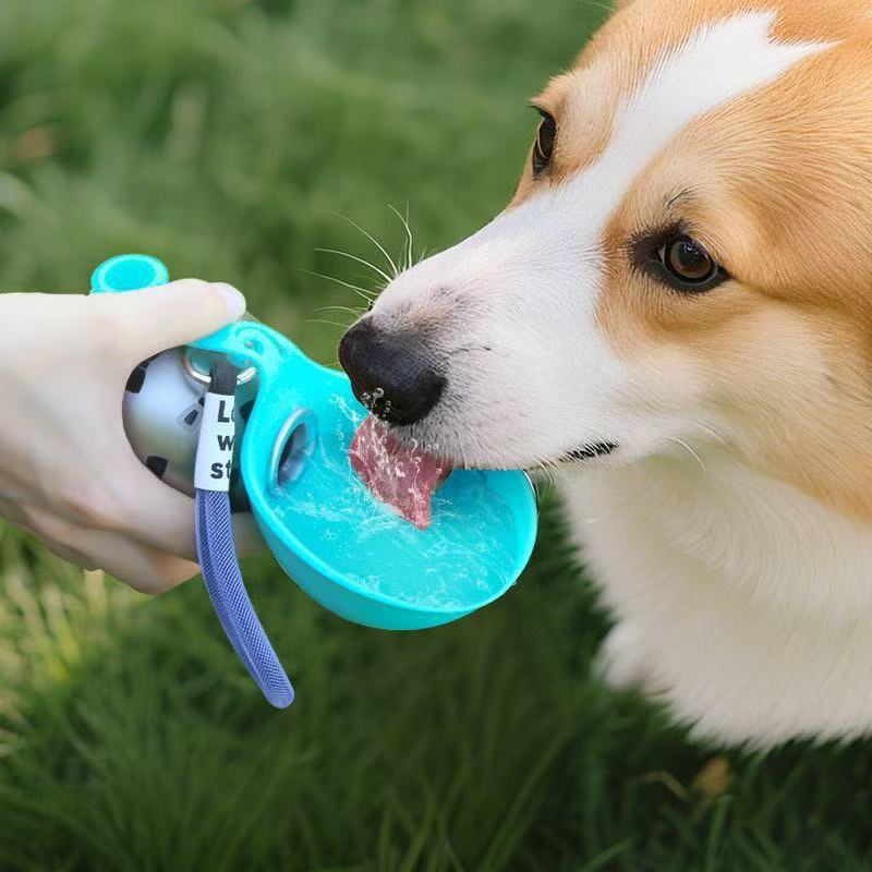 Pet water cup