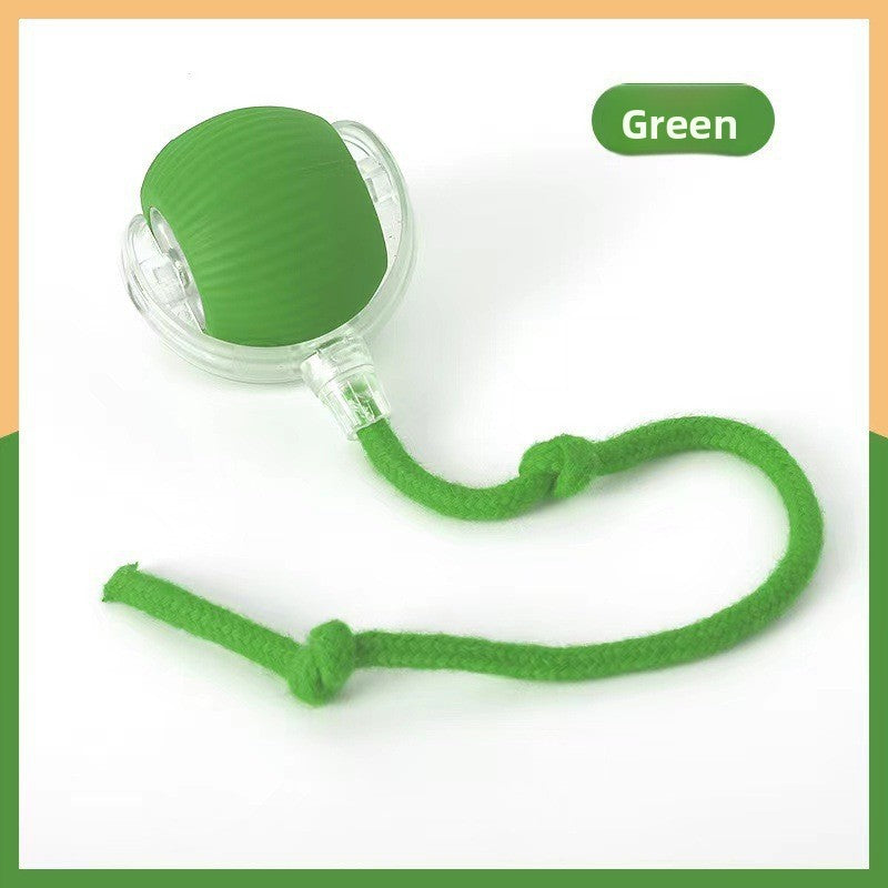 Automatic Dog Walking Ball