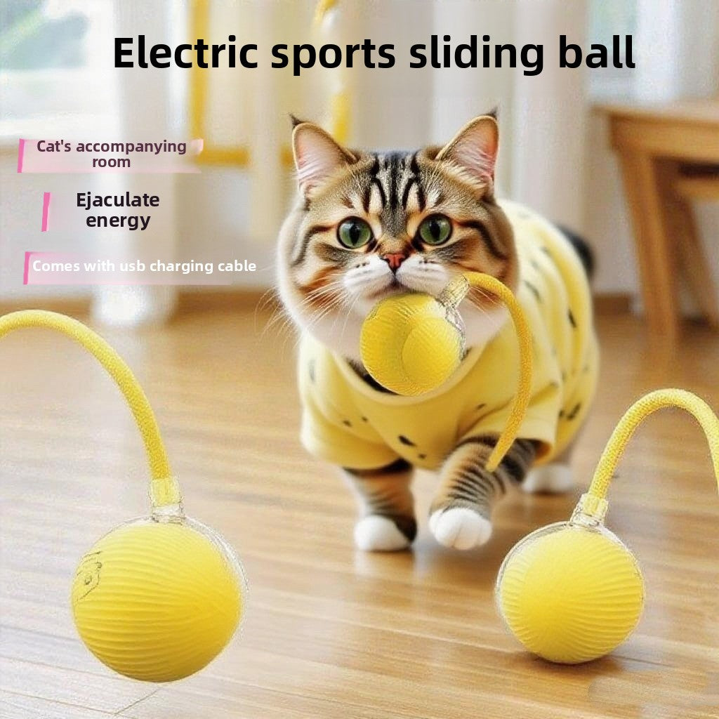 Automatic Dog Walking Ball