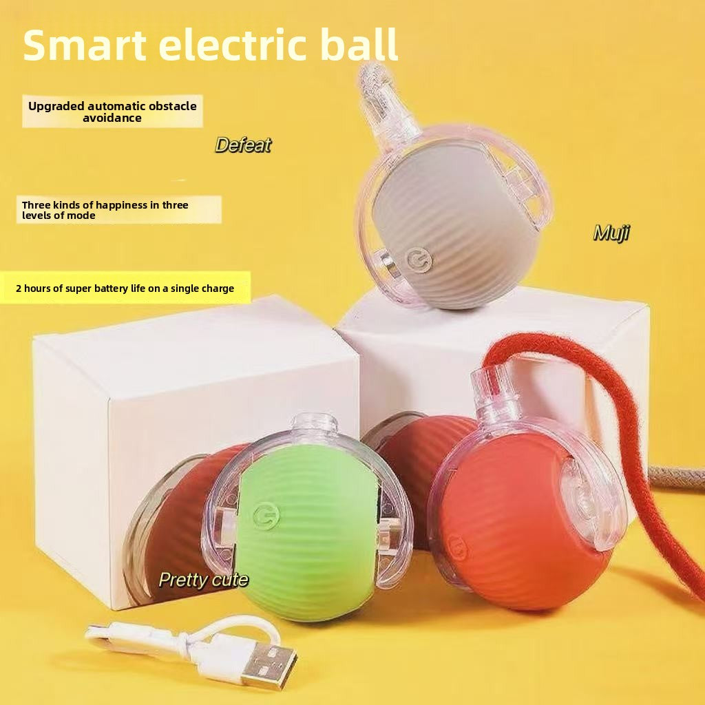 Automatic Dog Walking Ball